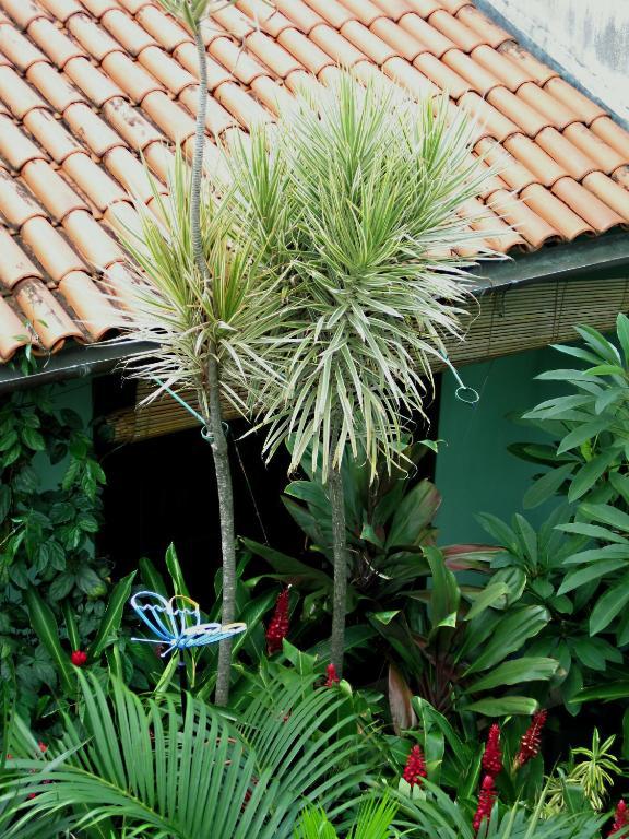 Pousada Redfish Salvador Exterior foto